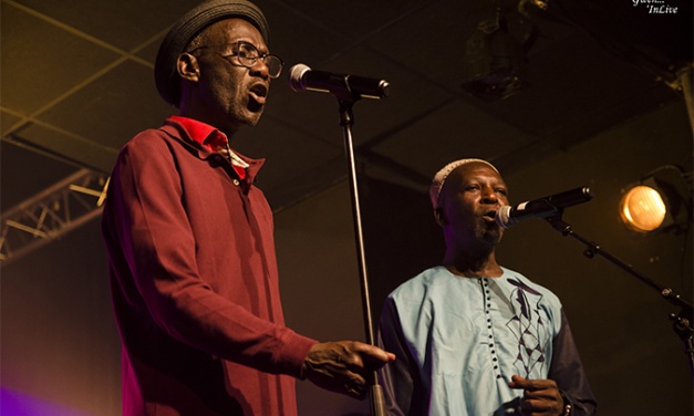 Découvrez les photos du concert de TOURE KUNDA